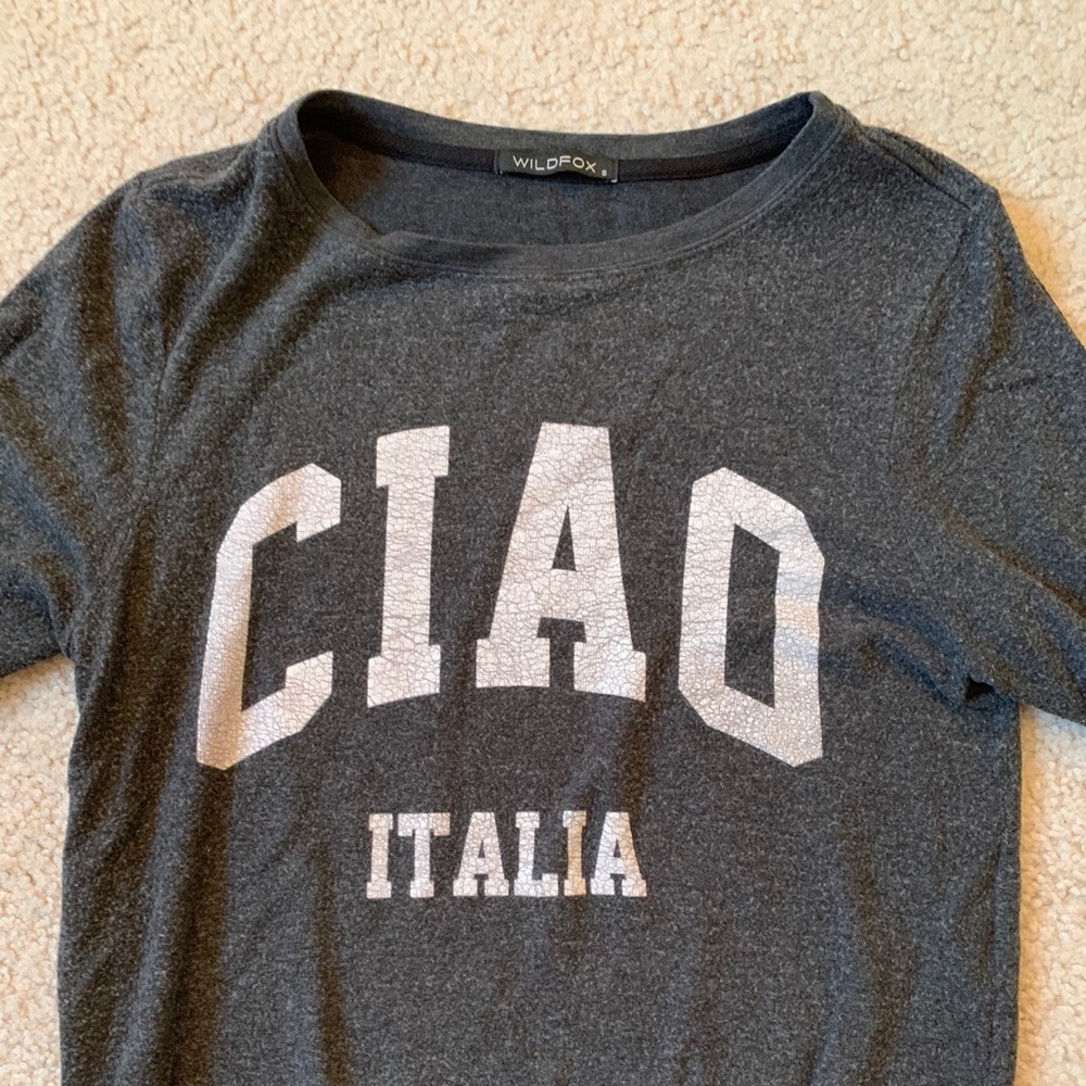 Wildfox crew neck
